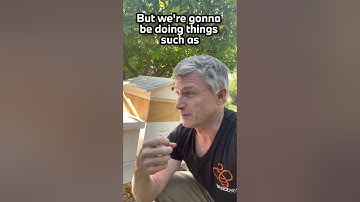 Learning beekeeping. Intro to future videos.