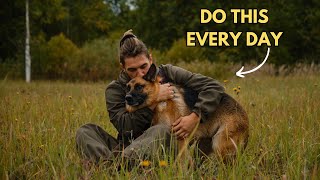 10 Scientific Ways To Make Your German Shepherd Very Happy by The Cagdot 3,876 views 3 weeks ago 5 minutes, 9 seconds