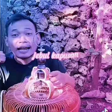 KATA-KATA PECINTA BURUNG|| HOBI KAMI MAHAL BOSKU 😎