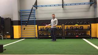 TRX wing