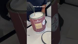 Famous Classic Grey OC-23 #auraluxpaints #benjaminmoore Wealth