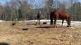Ruby Target Lunge