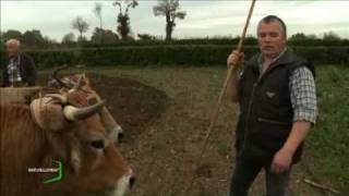 Labours À Lancienne Vendée