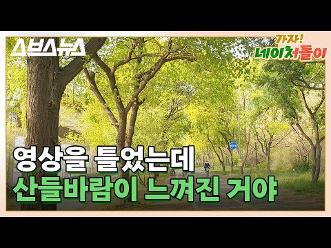 산뜻한 봄날의 <strong>한강</strong> <strong>자전거</strong> <strong>여행</strong> / [네이처돌이 스트리밍 part.2] 스브스뉴스