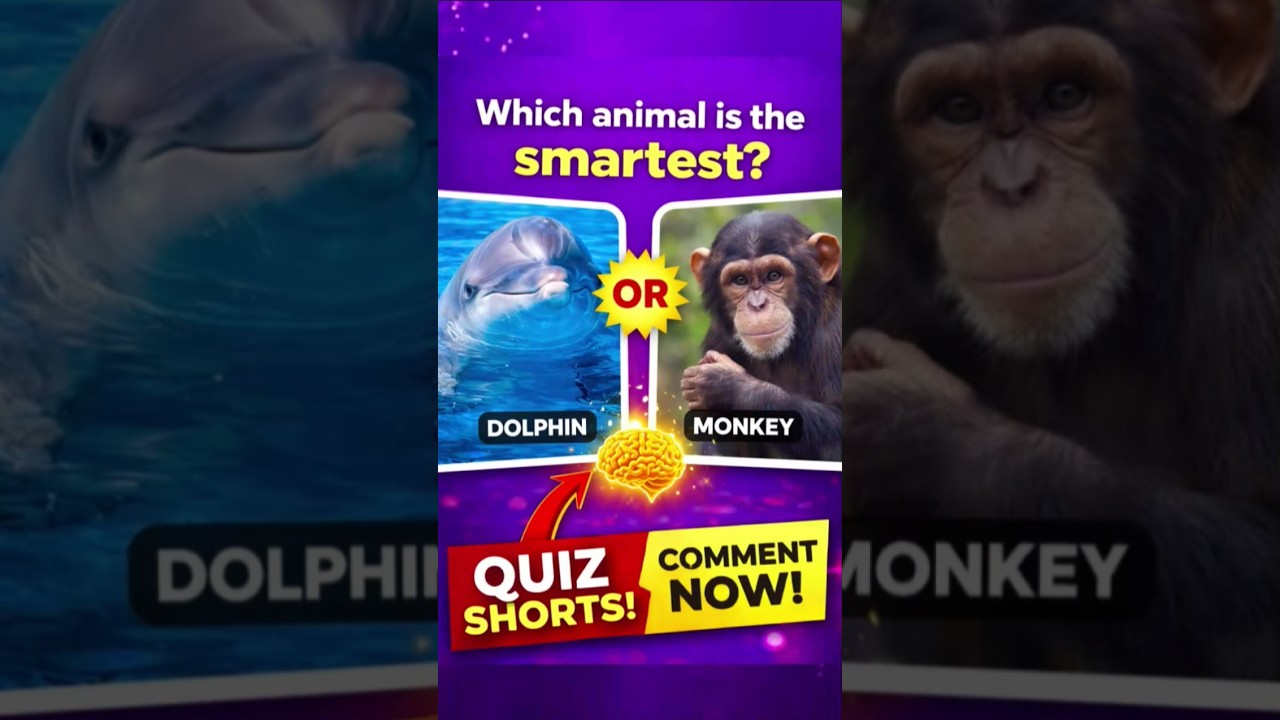 gk quiz: general knowledge quiz questions🧠 