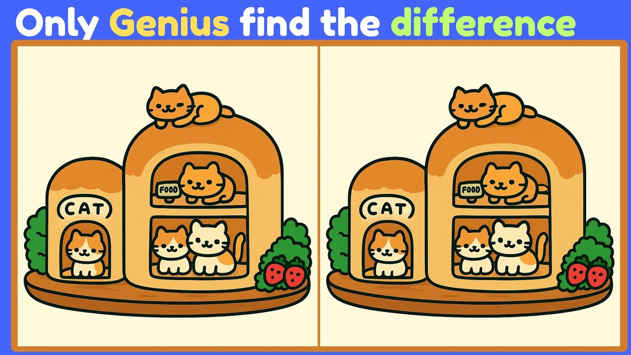 Spot The Difference #5 : Only 1% Can Spot All 3 Differences!  In the Bakery