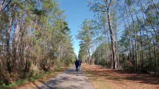 Biking the Tammany Trace : Part 5 : Mandeville