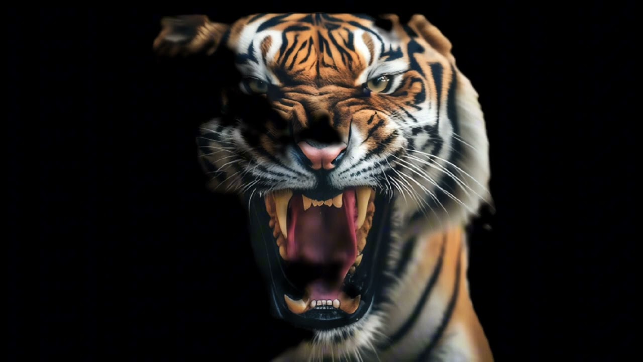 Аудиокітап: Шақан Шері №1/эпилогқа кіріспе