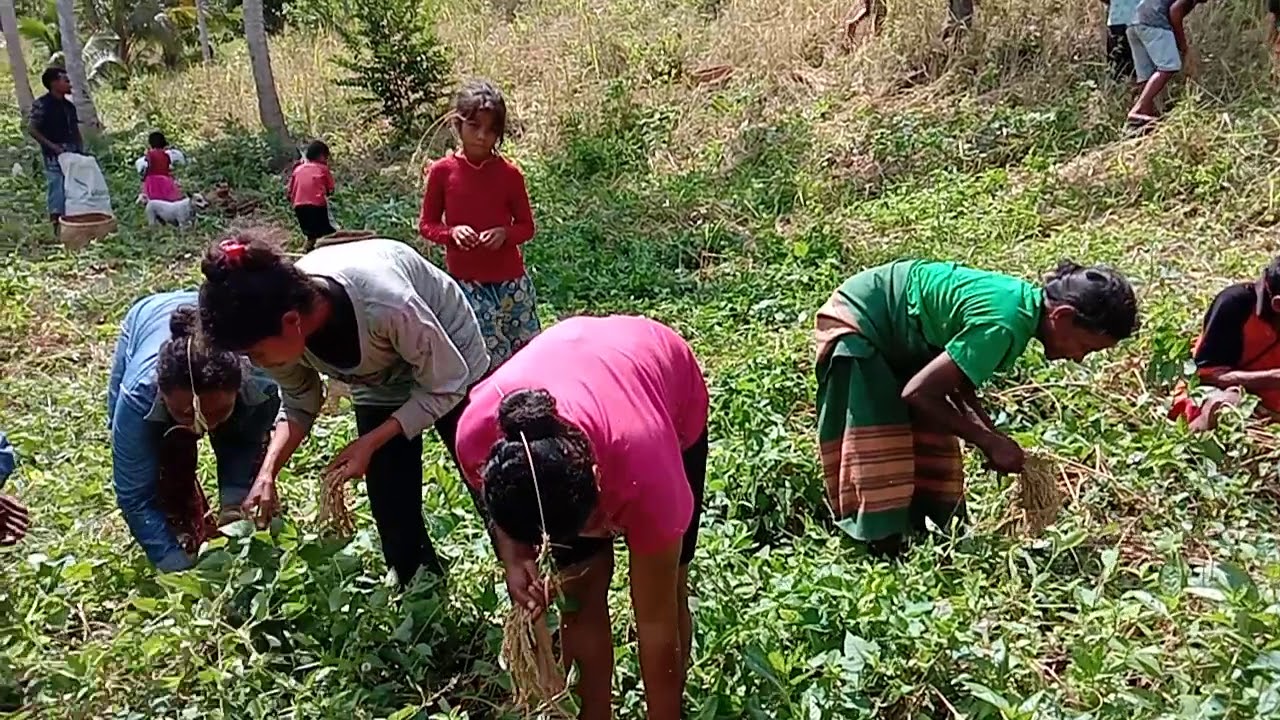 Melestarikan eksestensi kebersamaan kelompok tani