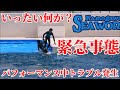 【緊急事態】まさかのトラブル発生・・・ 鴨川シーワールド シャチパフォーマンス シャチショー