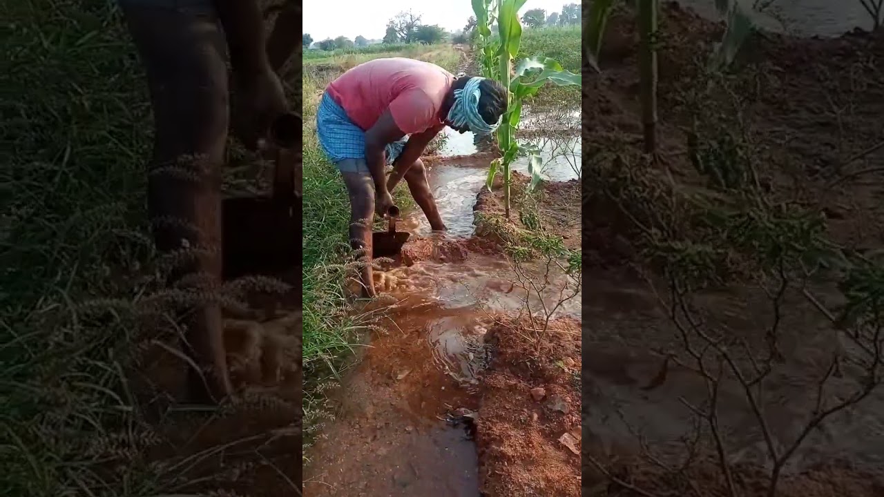 🌾🌾Raythu kashatlu🌻🌻