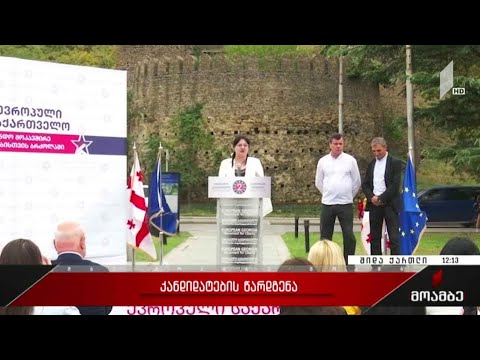 „ევროპული საქართველოს“ კანდიდატების წარდგენა