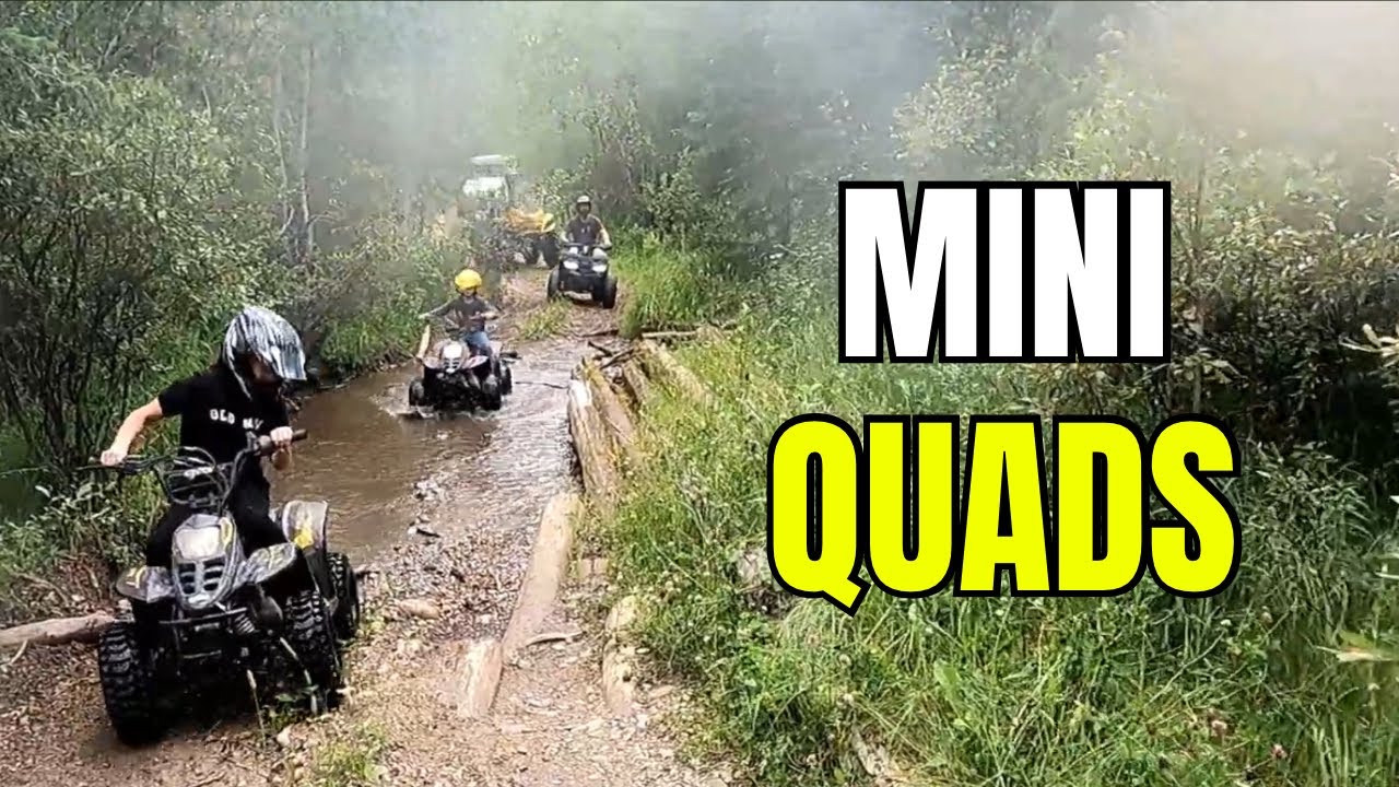 Mini Quad Madness - You're Taking That Where? - YouTube
