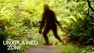 Rick Dyer's Bigfoot Hoax | The Proof Is Out There | The UnXplained Zone