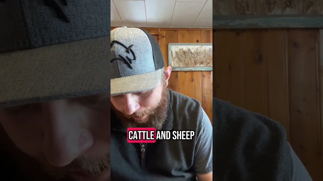 U.S. Forest Service Has Never Been Protectors of the Forest and Functioning Ecosystems