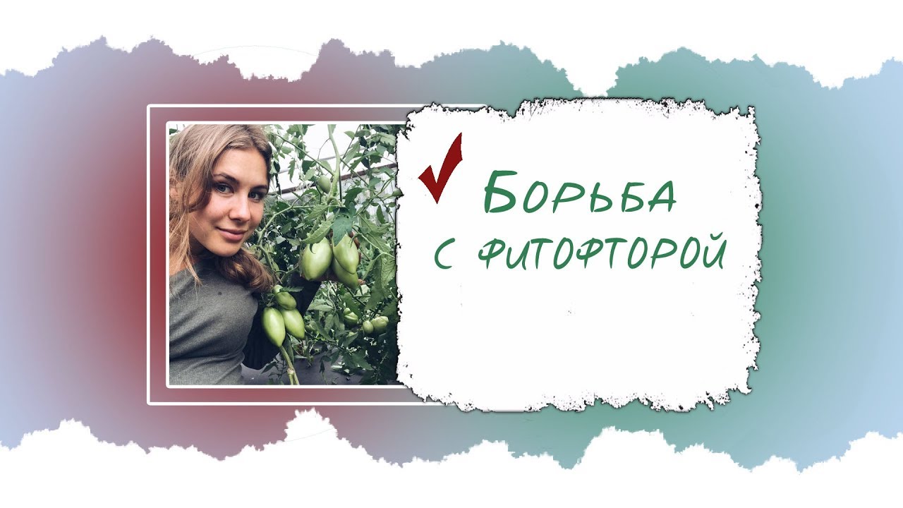 Нетипичный Фермер Интернет Магазин Каталог Пенза