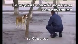 Городская служба контроля за животными города Харьков Городская служба контроля за животными города Харьков