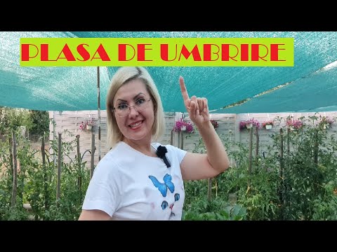 Video: Ce este o cârpă de umbră pentru seră: utilizați o cârpă de umbră pe o seră