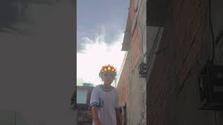 11 de maio de 2026