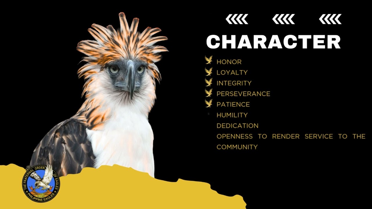 5 I's of The Fraternal Order of Eagles