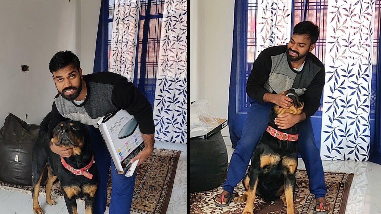 How to give dewormer medicine to your dog ? Mr.Bolt & Mr.Nut YouTube