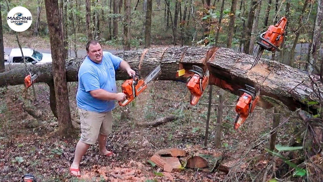 Idiots With Chainsaws: Tree Cutting Fails | Extreme Dangerous Logging Truck Fails #30