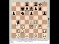 Amoeba 3.4 vs Stockfish 18 | King's Pawn: Sicilian Richter Rauzer Variation #chess