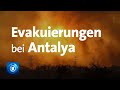 Mehrere Tote nach Bränden in der Türkei