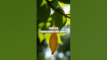 The Fascinating Science of Butterfly Metamorphosis