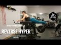 How to Reverse Hyper | The glute exercise you've been missing