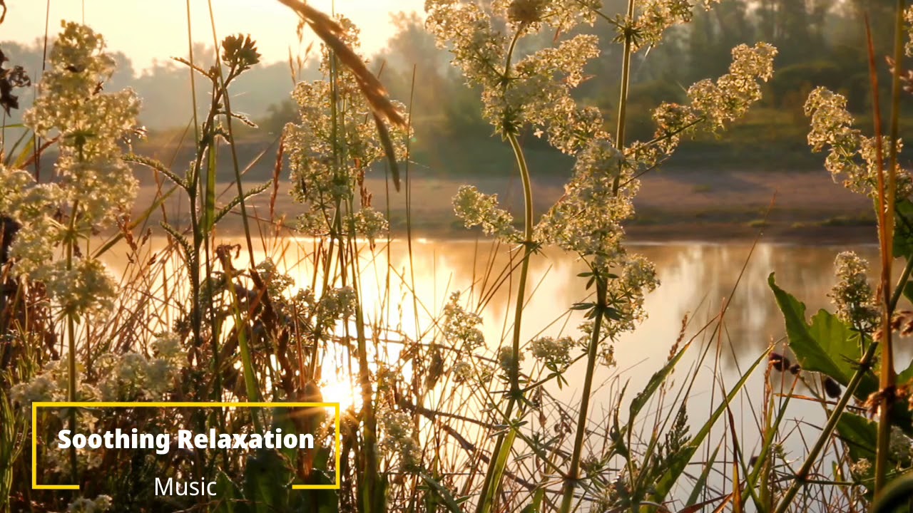 Watch Best Semantic Inspirational Music for Relaxation on YouTube Watch Best Semantic Inspirational Music for Relaxation on YouTube