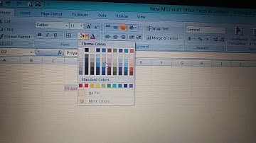 Class 5th Computer- Functions of Ms Excel G D Goenka Public School Mr. Sanjeev