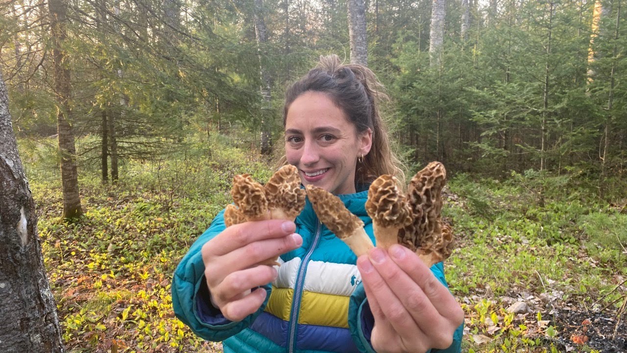 Hunting Morels in Michigan YouTube