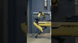 How to Train Your Robot Dog  Boston Dynamics Spot Tutorial