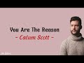 You Are The Reason - Calum scott (Lirik dan terjemahan)