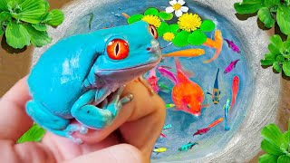 Catch Giant Frog Nesting On Slide, Koi Fish, Dinosaur Fish, Baby Turtle, Loach, Glass Fish, Crab