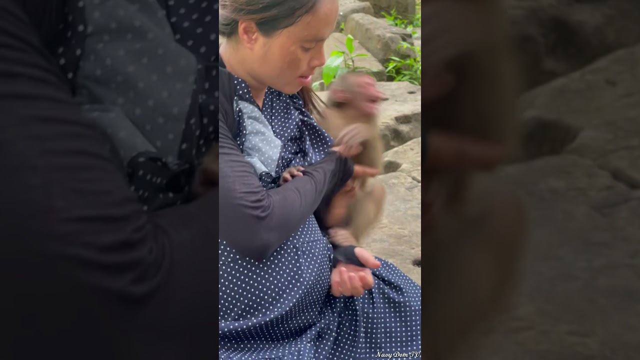 Stump Tail Baloo Reaction 