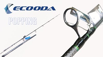 Cần Popping | Ecooda Black Zoom Popping EBZP S862 | A Đồ Câu