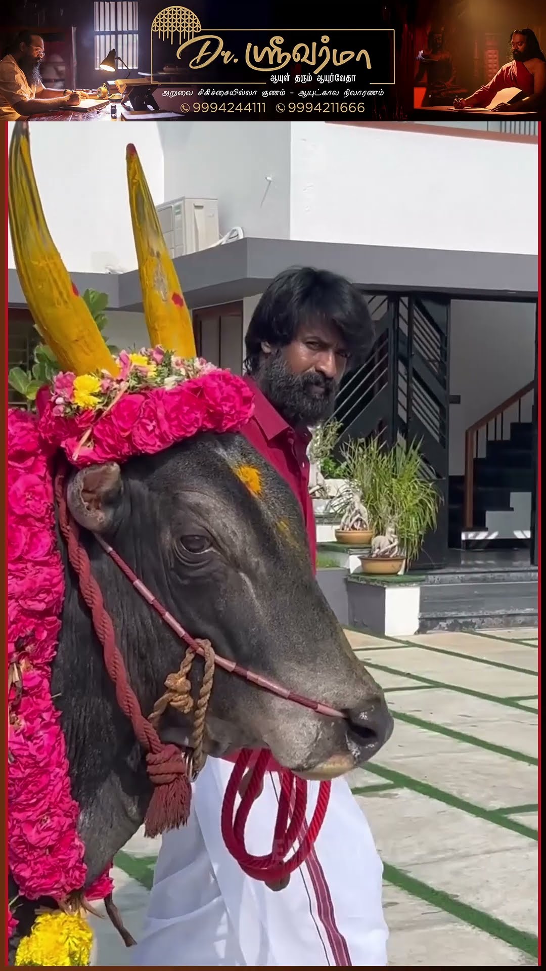 Pongal-க்கு களத்துல இறங்கும் Soori-யின் காளை மாடு ? டேய்,தம்பி விட்டுறதடா இது நம்ம Game-u