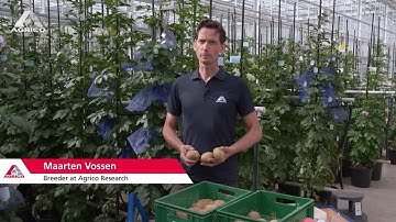 AGRICO RESEARCH - Breeding for Agrico