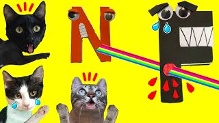 Alphabet Lore final F vs N letras del alfabeto en la vida real / Videos de gatitos Luna y Estrella