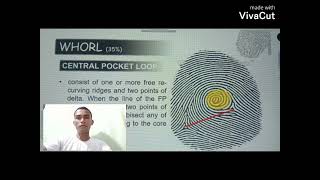 WHORL TRACING