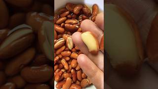 How To Perfectly Boil Red Kidney Beans/ Rajma#shorts#hack#viral#trendingshorts#foodblogger