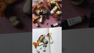 Грибы акварелью 🍄