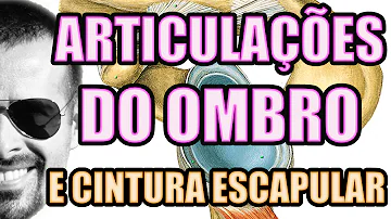 Qual a classificação do ombro?