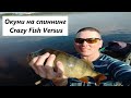 Окуни на спиннинг Crazy Fish Versus