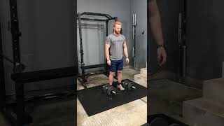 Dumbbell Hack Squat - Exercise Demo