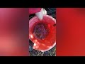 Рыбалка в Оренбурге на озере. Ловля карасей!!