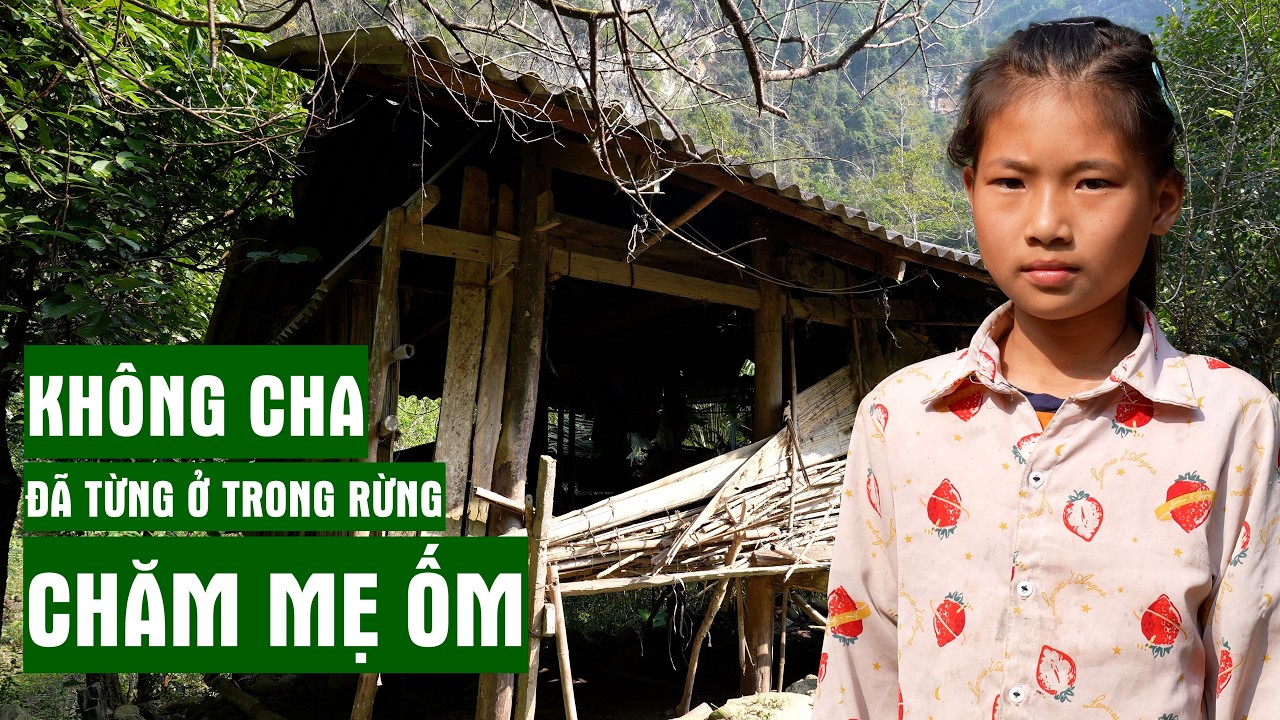Cô Bé Không Cha Đã Từng Sống Trong Rừng Chăm Mẹ Ốm Giờ Ra Sao | Người Đặc Biệt