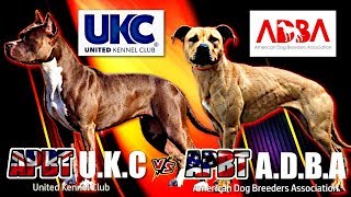 LOS Diferentes Tipos de perros Pitbull (APBT)  bajo la norma de los estándares ADBA y UKC